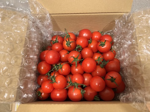 tomo様購入専用 ZACK（ザック） ZACK JP-325 1340+45 4-100 BS KT01 Japansanyo アルミ