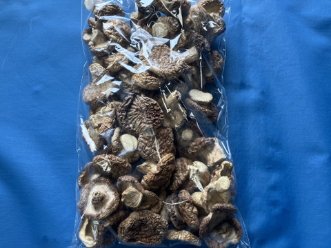 【ゲン担ぎ福袋】金（菌）招く！？きのこ屋の福袋