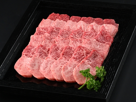 【牧場オーナー厳選】極旨 若狭牛食べ比べ 霜降りと赤身の贅沢極み焼肉盛り合わせ 600g （2-3人前）