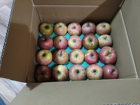 【もうすぐ終了！2026年も宜しくスペシャル！】大人気・旬の今だけ！葉取らずサンふじ10kg以上【ご家庭用・加工用・約50〜80玉入り】