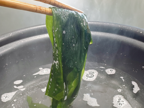 ~朝採れ新鮮~【生わかめ】寒い日はしゃぶしゃぶで！！(1kg/7~8人前程度)