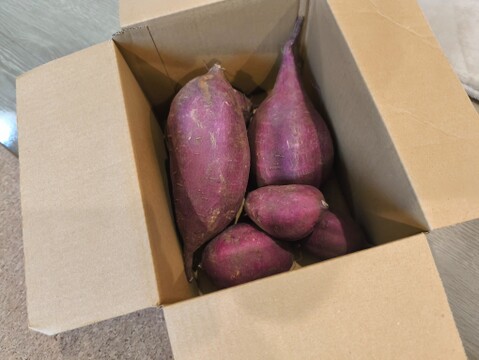 なめらかな食感、シルクスイート（約1.5キロ）