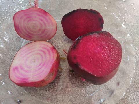 🌱収穫そのままお届け！畑直送！「食べる輸血」採れたて葉付きビーツ1〜2種セット約1.5kg🌱｜畑の鮮度そのまま✨｜農薬・化成肥料不使用｜✨