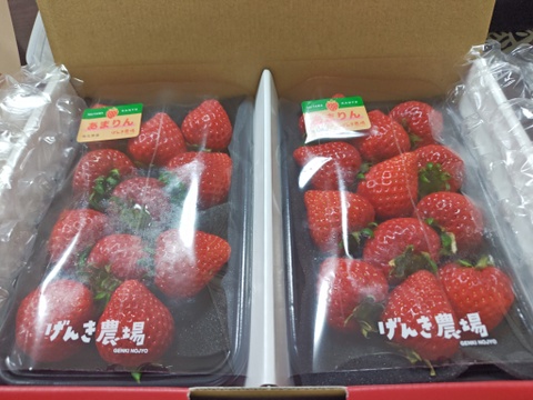 【農場長厳選】埼玉県オリジナル品種「あまりん」2パック