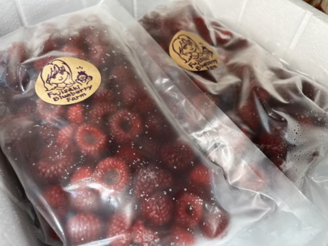 珍しい木苺【レッドドリーム】自然栽培で大切に育てました (1kg)