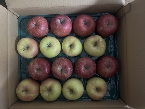 赤と黄色‼︎ 青森県産 サンふじ&名月(訳あり)約5kg サンふじ8個名月8個　計16個