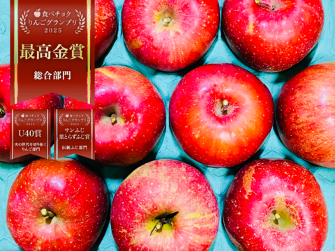 りんごグランプリ2025最高金賞1位🎊 サンふじ 10キロ箱 訳あり品 ID00624長野県 信州 安曇野 リンゴ 幻 幻のリンゴ 予約 希少 旬 甘い 10キロ箱 お得