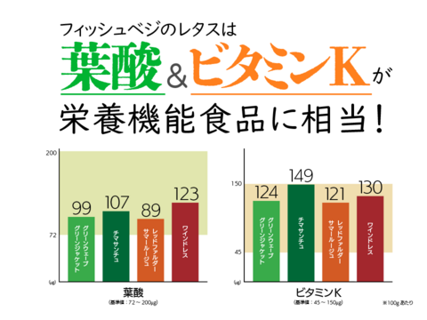 新鮮！採れたて！農薬・化学肥料不使用！ケールとレタスの定期便 6個セット