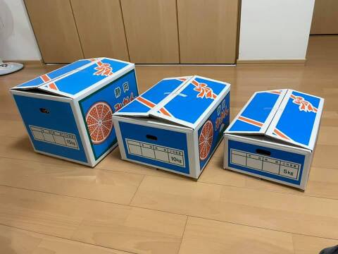 優秀品　限定６箱　静岡ポンカン（太田ポンカン）完熟　（贈答用にも）大きなサイズ（3～4Ｌ）5kg