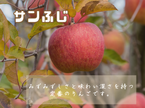 【訳あり家庭用】極じゅわ甘💕スーパームーンりんご1個付き🍎3kg【サンふじ】