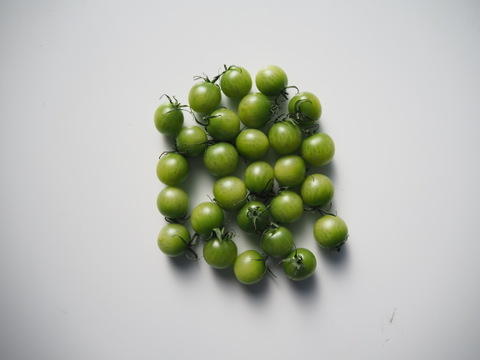 緑色ミニトマト 500g【緑色で完熟】熊本県産：ギフトメッセージ対応
