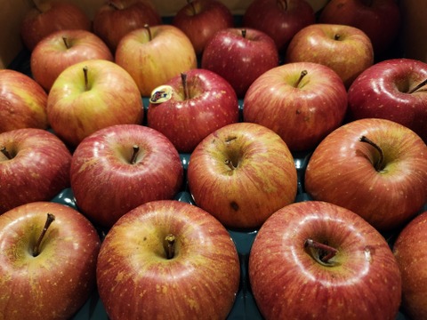 青森県産りんご 蜜入り 　旨いに自信アリ！！
【メディアや新聞からお声が掛かり注文殺到】
在庫が少ないので大特価となっております。

極み自然オリジナル農法りんご栽培家庭用葉とらずサンふじ５kg