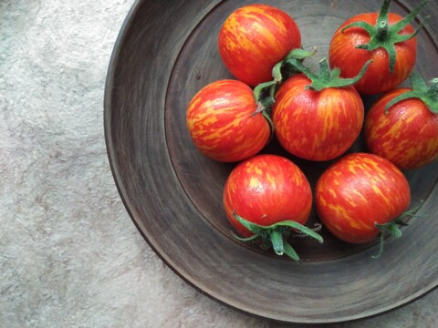 《本日終了！》完熟カラフルトマト 約1.3kg【食べ比べ】【厳選10種以上】