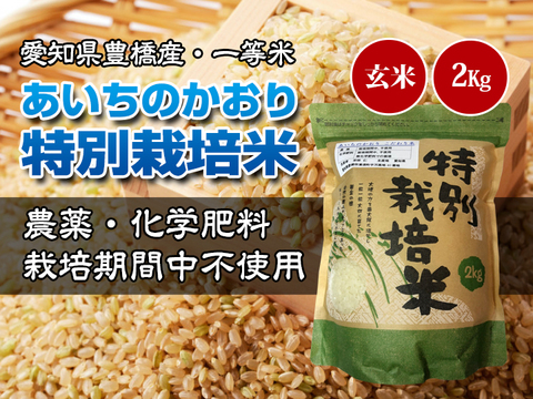 【栽培期間中農薬不使用・一等米】あいちのかおり 玄米2kg【令和2年・愛知県産】