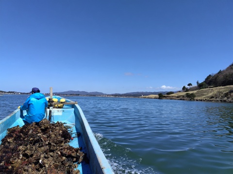 京丹後・久美浜産　殻付き牡蠣［加熱用］　3ｋｇ