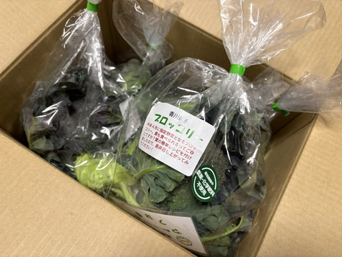 葉も食べられる！ブロッコリー５株（約２㎏）