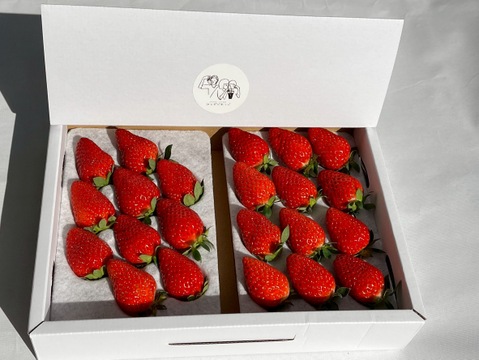 香り広がる。「かおりの」250g×4p