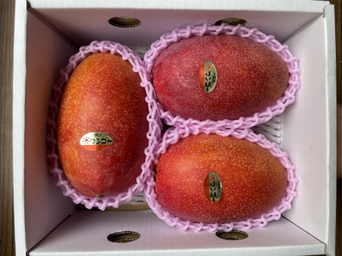 【予約】　７月発送　[贈答用] 沖縄県産マンゴー　2kg (3~8玉)