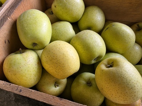 東京で１番美味しいかもしれない！と評価していただきました✨
贅沢５品種ブレンドりんごジュース「百年の想い」 720ml 3本セット