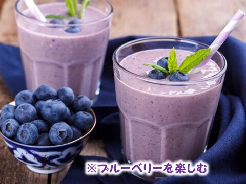 生果実ブルーベリー ５００ｇ（フリーザーパック250ｇ×2個）