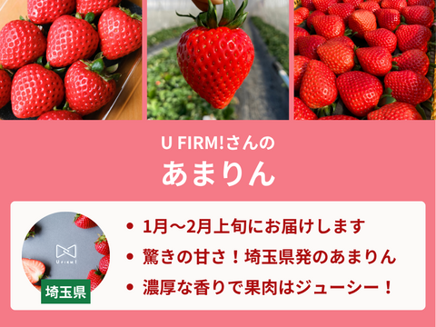 【限定100セット】いちごグランプリ受賞いちご食べ比べ便【Bコース】（食べチョク公式）