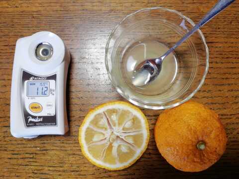 ユズ（完熟）１㎏【農薬化学肥料不使用】【あわせ買い可】【熨斗(のし)対応可】