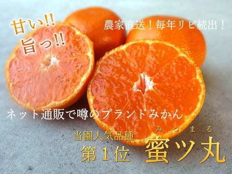 【甘～い柑橘福袋】年末発送！甘～い定番みかんや希少柑橘の食べ比べ！家族でワイワイ♪♪人気４品種が楽しめる！「旬のこだわり柑橘食べ比べ福袋」　サイズ混合　ご家庭用　約3kg入　【商品番号1102-3k】