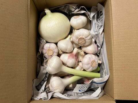 【サービスあり】南国高知の新にんにく・生にんにく　1ｋｇ
