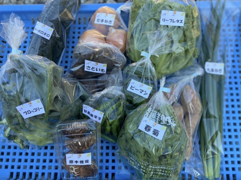 【??野菜セット】栄養たっぷり!あったか料理!冬野菜詰め合わせ☆??