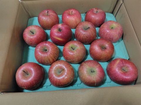 【販売開始！人気商品】青森県産りんご「サンふじ」家庭用 キズ有 約5kg【美味・光センサー選果済】