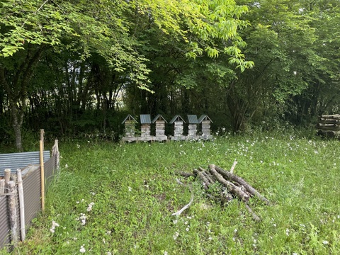 富士山麓の「にほんみつばち」HONEY 天然はちみつ　50g×2本セット　ニホンミツバチ