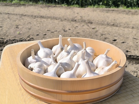 ✨青森県十和田産｜濃厚旨味のホクホクにんにく500ｇ✨