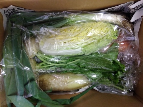 旬の露地野菜セット(7〜9品)