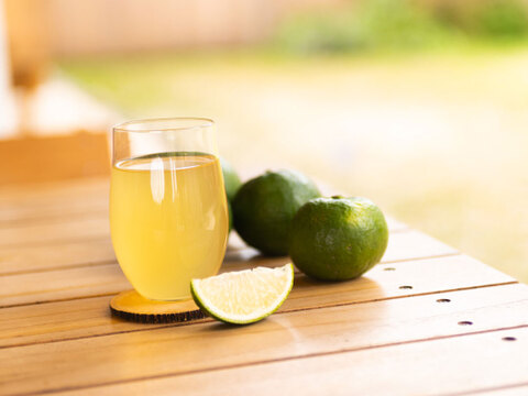 家庭用（訳あり品）ジャバラ10kg 和歌山 355-4