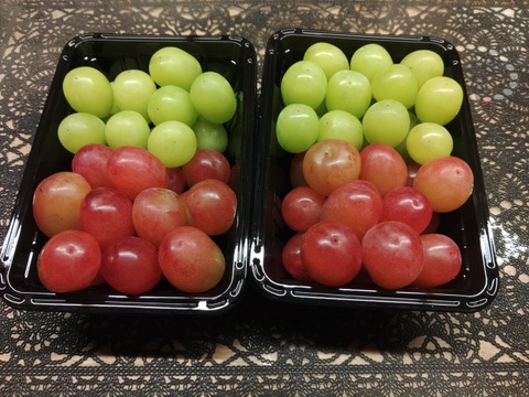 ◆◆注目◆◆
あのシャインマスカットの子供、長野県限定栽培のクイーンルージュ®️と親のシャインマスカット　豪華親子共演！
◆粒パック◆【クイーンルージュ®・シャインマスカット】ぶどう2品種 親子セット