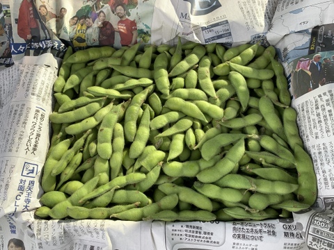 【自然栽培】枝豆(茶豆) サヤのみ１kg★農薬・肥料不使用｜茶大豆えだまめ