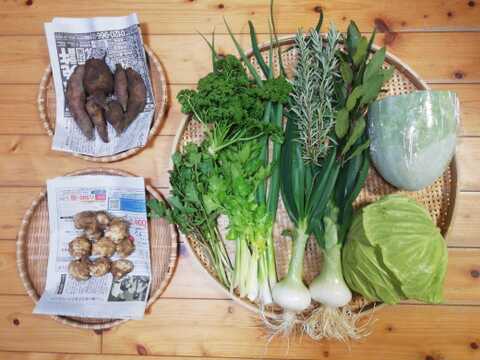 【農薬化学肥料不使用】キクイモ入り野菜セット【８種類以上の野菜】【金曜日発送】【熨斗(のし)対応可】【８０サイズ箱】