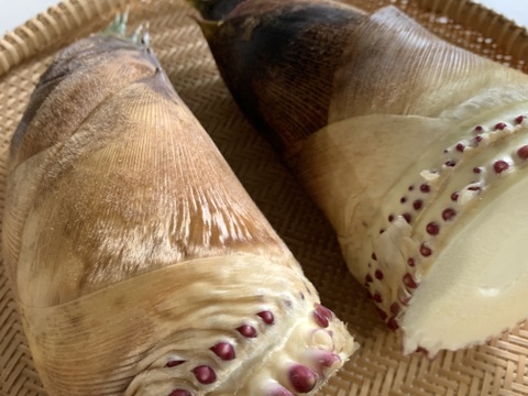 【和歌山産】天然たけのこ 孟宗筍 2.5kg以上 朝採り 当日発送 翌日お届け 肥料・農薬不使用