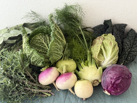 お料理の幅が広がる！季節の西洋野菜Italian selection 80サイズ