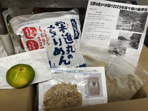 【すぐ出荷】瀬戸内ちりめんたっぷり500ｇ栄進丸のちりめん【小魚】チリメン家庭用がお得！乾燥が絶妙賞味期限60日　最短明日着1袋～2袋まで