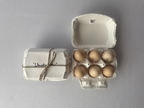 佐渡島産 黒烏骨鶏の卵 6個【平飼い卵】