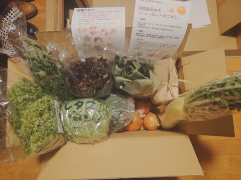 【福袋】玉ねぎ3kg🧅とキヌヒカリ玄米2kg   その他葉物野菜など5種類以上の野菜セット