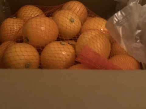 ❮中キズあり❯3Lサイズきんかん(1㎏)　カブッと！