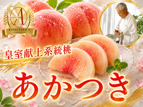 【皇室献上銘柄桃】全桃の中で不動の糖度と人気を誇る桃の王者『あかつき』🍑品種指定キャンペーン🍑お試し約1.5kg【朝どれ】高級もも☆家庭用・贈り物にも贅沢お中元ギフト【7月中旬予約】