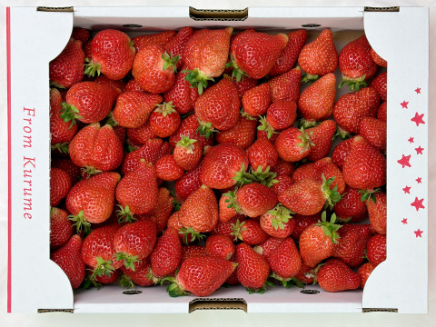 【バラ詰め】完熟あまおう２kg ジャムなどの加工用