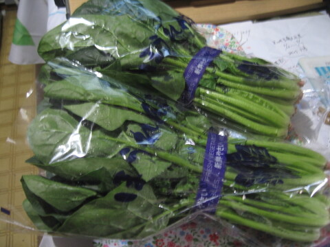 甘さ抜群‼️葉肉が厚いのに柔らかい‼️絶品ほうれん草‼️苦味が苦手なお子様にもおすすめ‼️根っこまで食べられます😋採れたて新鮮をお届け‼️
約1200g（約300g×4袋）