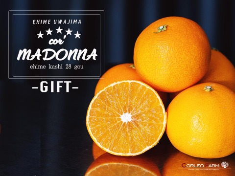 【冬ギフト】プルップルのゼリー食感【EHIME UWAJIMA〈コル’マドンナ〉】 -SPセレクション（贈答用） L〜3L（10〜15玉)  約3kg GIFTBOX(約2.7kg)