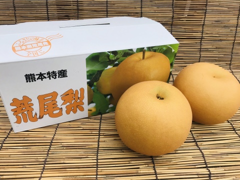 ✨厳選大玉✨甘い果汁ジュワ‼️熊本県産あきづき梨2玉(約1.3kg)