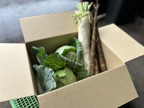 竹内農場×チームミノ虫の野菜セット（3品目）