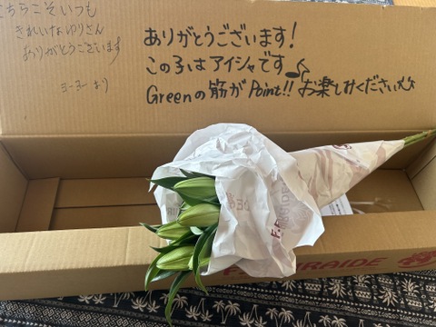 【簡易包装】ヌナブト3-4輪3本束 ❤昨年の名前を出せないあの子が遂にデビュー❤こちらの商品はおリボンなどはついておりません<(_ _)>